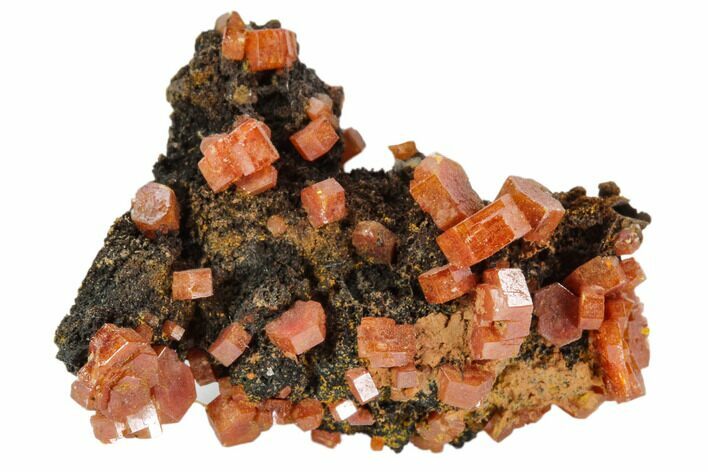 Red Vanadinite Crystals On Manganese Oxide - Morocco #103568
